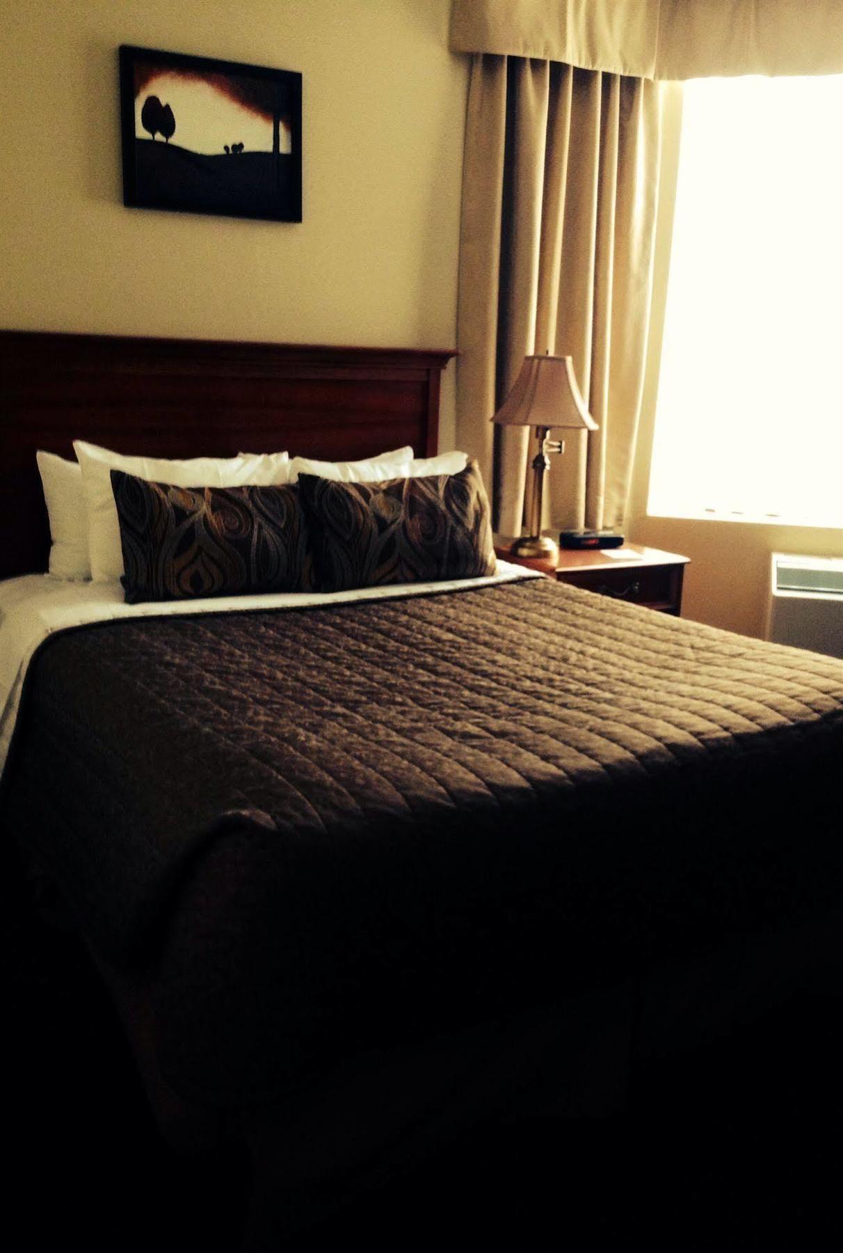 Welcominns Ottawa Dış mekan fotoğraf